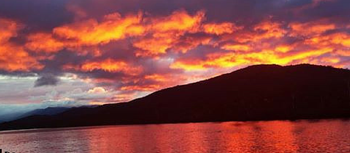 @georgieheart A Better Today Australia